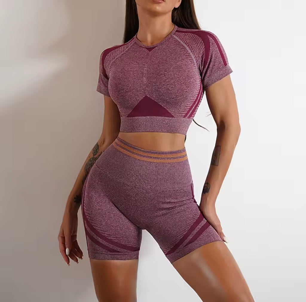 Women’s Seamless Stretch Workout Set